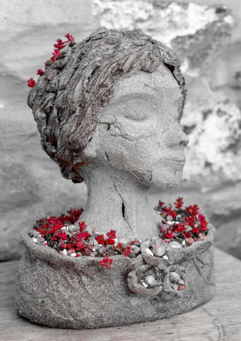 Flowering Head - Garden Planter