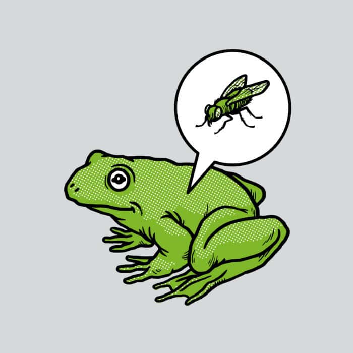 A drawn image of a frog with a bubble revealing the contents of the frog's stomach to be a fly