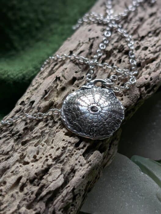 A round, highly detailed fine silver pendant featuring the natural radial patterns and textures of a sea urchin shell, resting on weathered driftwood with a silver chain.